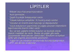 Lipitler-I