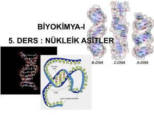 DNA-RNA - sedatture