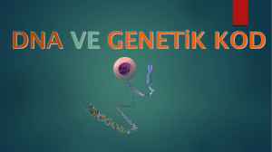 DNA ve genetik kod