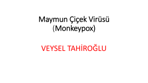Maymun Çiçek Virüsü (Monkeypox)