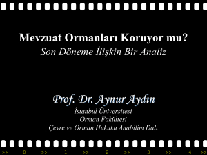 Prof. Dr. Aynur AYDIN`ın sunumu