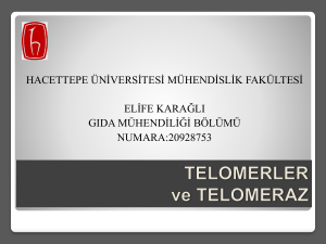 Slayt 1 - Hacettepe Üniversitesi