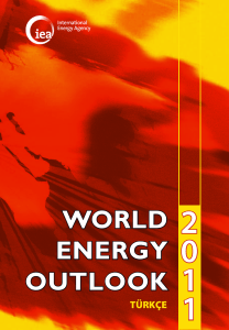 Turkish Version of the Executive Summary of the WEO-2011