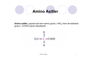 Amino Asitler