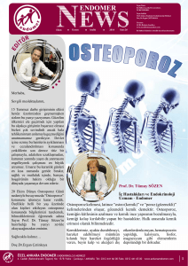 osteoporo - Ankara Endomer