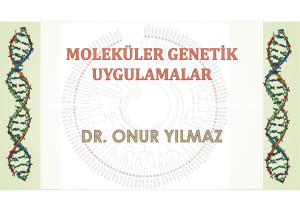 rflp yöntemi - Dr. Onur YILMAZ