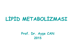 lipid metabolizması