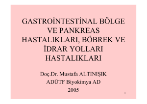 gastrointestinal bölge ve pankreas hastalıkları, böbrek ve idrar