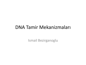 DNA Tamir Mekanizmaları