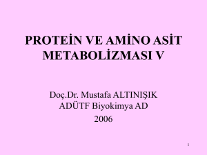 protein ve amino asit metabolizması v