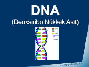 DNA - dijitalders.com