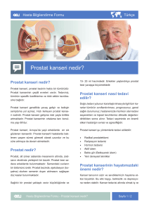 Prostat kanseri nedir? - EAU Patient Information