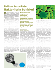 Bakterilerin Şehirleri - Düzen Laboratuvarlar Grubu