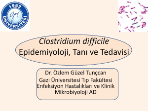 Clostridium difficile Epidemiyoloji, Tanı ve tedavisi