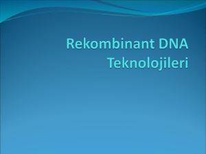 7. Rekombinant DNA