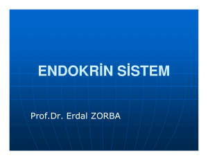 endokrin sistem - Prof. Dr. Erdal ZORBA