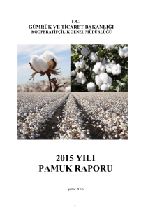 2015 yılı pamuk raporu - Kooperatifçilik Genel Müdürlüğü