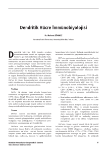 Dendritik Hücre İmmünobiyolojisi