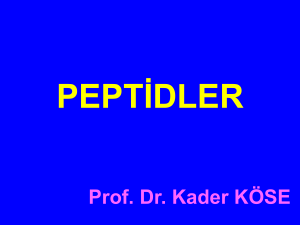 Peptitler Ve Proteinler - mustafaaltinisik.org.uk