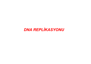 DNA REPLİKASYONU
