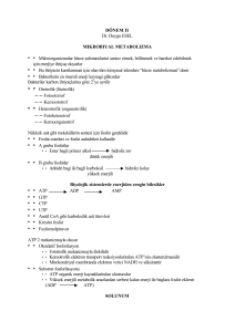 D II Mikrobiyal Metabolizma