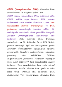 cDNA