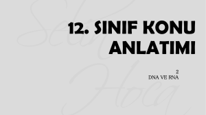 2) DNA ve RNA