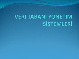 1_veri_tabani_giris