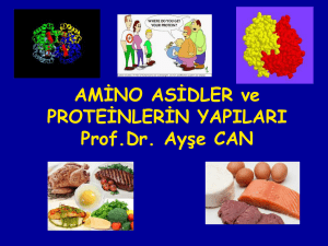 Proteinlerin yapısında bulunmayan aminoasidler