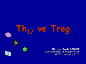 Th17 ve Treg