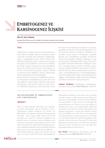 embriyogenez ve karsinogenez ilişkisi