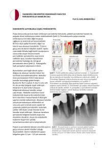 50- Endodontik Lezyonlar ile İlişkili Periodontitis_51
