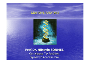 DNA_Replikasyonu_RNA_Transkripsiyonu_Protein_Sentezi400