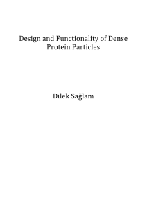 Design and functionality of dense protein particles