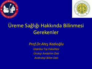 Prof.Dr.Ateş Kadıoğlu İstanbul Tıp Fakültesi
