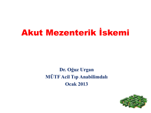 Akut Mezenterik İskemi - Marmara Üniversitesi Acil Tıp Anabilim Dalı