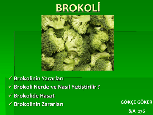 brokoli - Healthy Me! Healthy You!