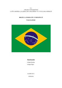 Brezilya Ülke Raporu - Ankara Üniversitesi Latin Amerika Çalışmaları