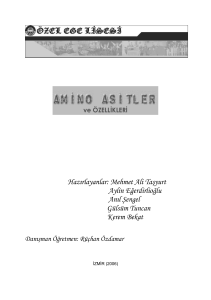 Amino Asitler - Özel Ege Lisesi
