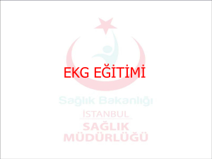 EKG - Hijyen İstanbul