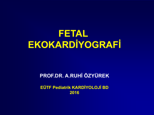 Fetal Ekokardiyografi - TJOD