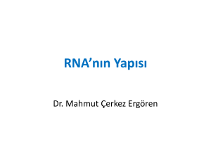 RNA`nın Yapısı