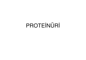 Proteinüri