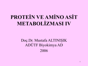 protein ve amino asit metabolizması ıv