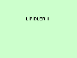 lipidler ıı