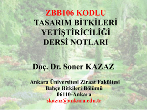 tasarım bitkileri yetiştiriciliği - Ankara Üniversitesi Açık Ders