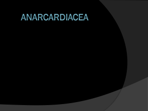 Anarcardiacea