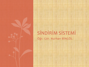 sindirim sistemi - Ankara Üniversitesi Açık Ders Malzemeleri