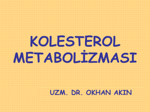 kolesterol metabolizması - mustafaaltinisik.org.uk