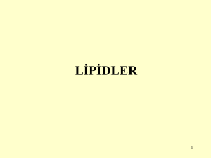 Lipidler I